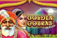 Golden cobras