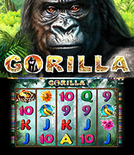 Gorilla