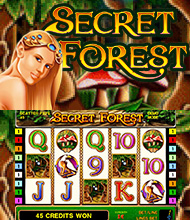 Secret Forest Deluxe